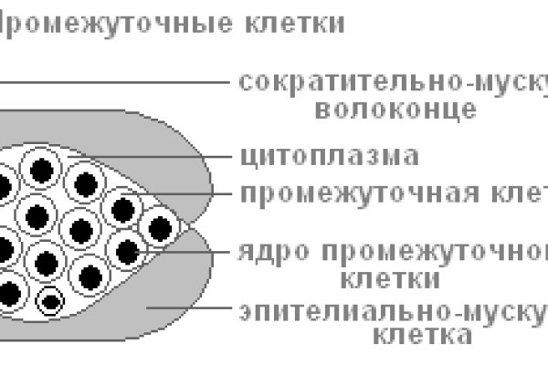 Почему не получается зайти на кракен